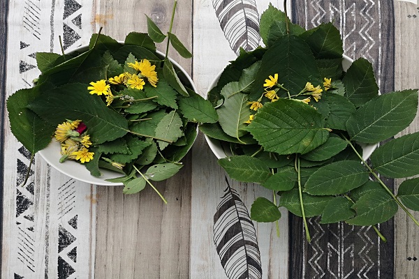 0607_De la feuille a la page.jpg