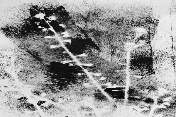 0628_Anthotype .jpg