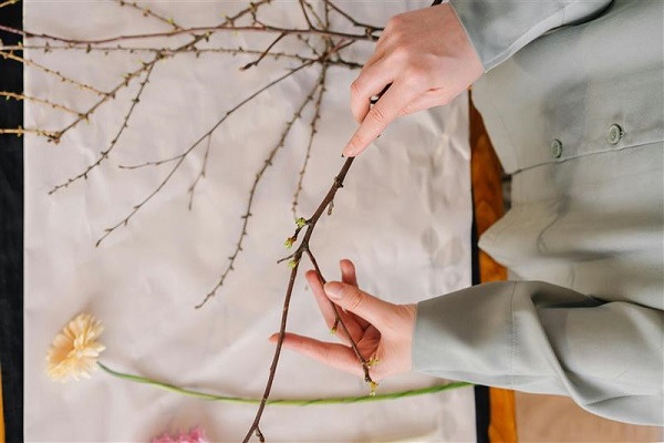 Ikebana forestier.jpg