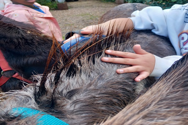 0408_Decouverte du Marais de l'Aubette avec u