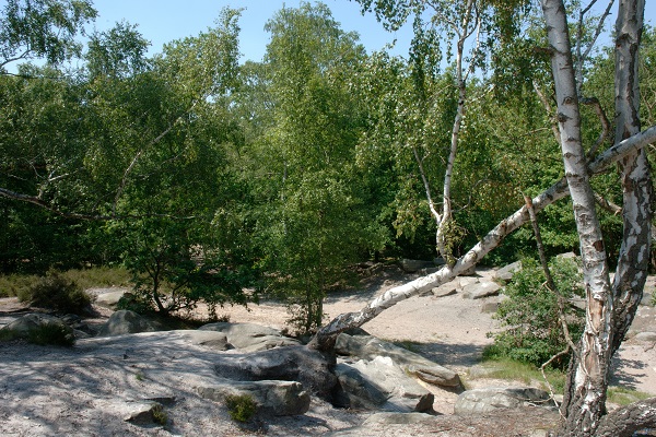 0509_Attrapez les tous.jpg
