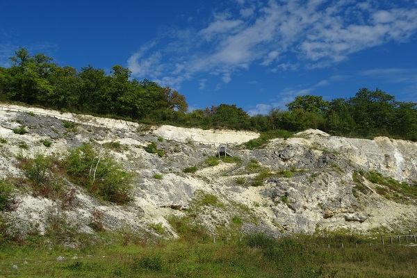 0620_Vexin a l'epoque des dinosaures.JPG