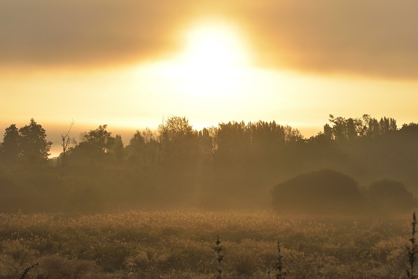 0628_Au petit matin, a l'heure ou s'eveille l
