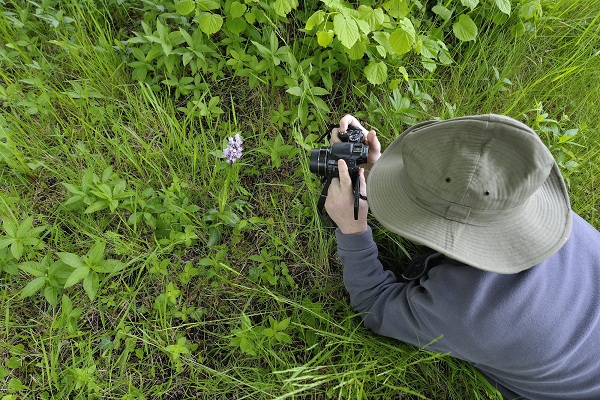 0628_Initiation a la photographie nature.JPG