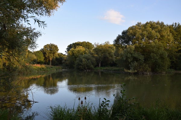 0801_Balade nature.JPG