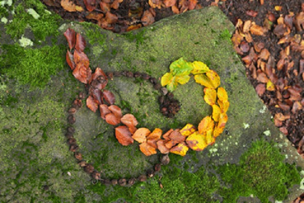 0802_LAND ART ET DEVINETTES.jpg