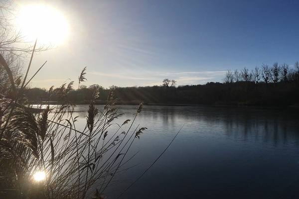 0926_L'etang de valliere au pas de l'ane.JPG